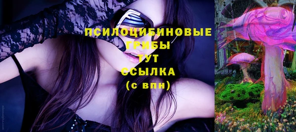 apvp Алзамай
