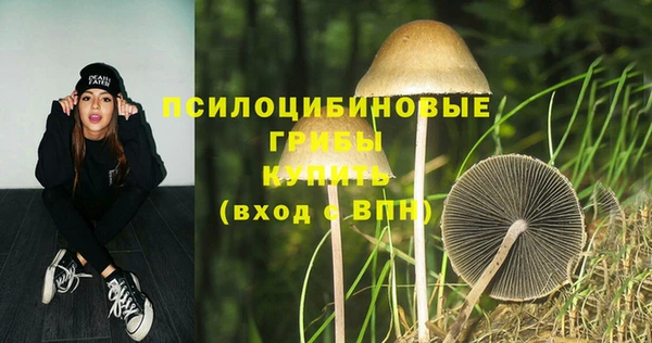 ECSTASY Алексин