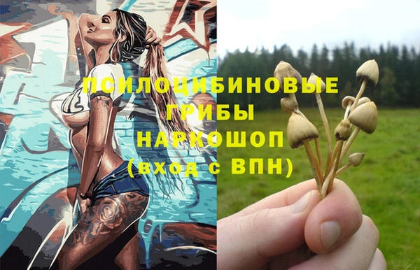 apvp Алзамай